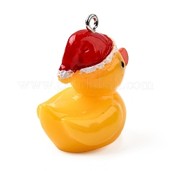 Подвески из смолы FIND-U031-13B-P