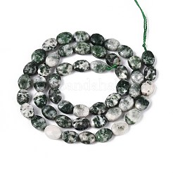 Натуральные зеленые пятна яшмовых нитей G-T142-26