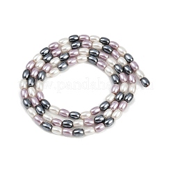 Гальванические оболочки жемчужные бусы пряди BSHE-H113-06B-04