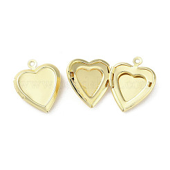 Стойки обшивки латунь медальона подвески KK-G489-03G