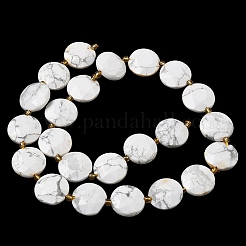 Природные Говлит бисер нитей&nbsp;G-A292-A03-01