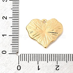 Paua naturale pendenti shell&nbsp;STAS-P431-24G-01