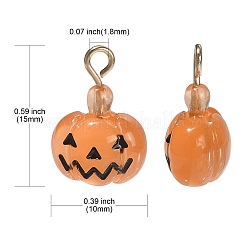 10шт тема Хэллоуина прозрачные подвески из смолы&nbsp;RESI-CJ0002-93