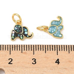 Подвески из латуни и ракушек с покрытием стойки&nbsp;KK-I357-07G