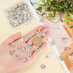 72 шт. 12 подвески в виде котенка из сплава в тибетском стиле TIBE-SC0001-72