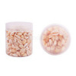 Бусины из натуральных раковин каури BSHE-PH0001-06