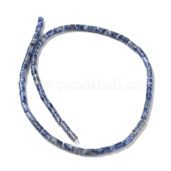 Natürliche blaue Fleck Jaspis Perlen Stränge&nbsp;GG-B091-A25-01