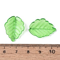 Прозрачные акриловые подвески&nbsp;OACR-CJC0006-25B