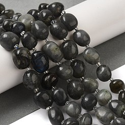 Натуральные нити бус из ларвикита G-Q169-E05-01