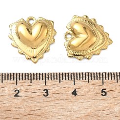 Pendentifs en acier inoxydable 304&nbsp;STAS-C167-09C-G