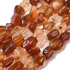 Натуральный красный агат бисер нитей&nbsp;G-P601-A17-03