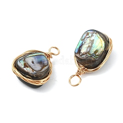 Natürliche Abalone Muschel / Paua Muschel Anhänger&nbsp;PALLOY-JF05278