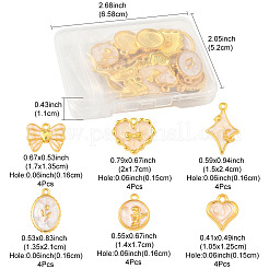 24шт 6 стиля подвески из сплава с эмалью&nbsp;ENAM-FS0002-65G