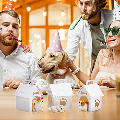 Geschenkverpackungen aus Papier mit Griffen und Fenster&nbsp;CON-WH0095-186