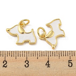 Латунь эмаль подвески&nbsp;X-KK-E093-01G-01