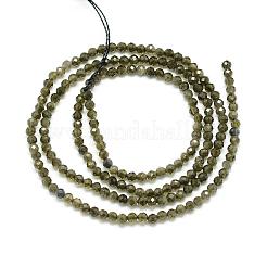 Естественный золотистый отлив обсидиан бисер пряди G-S152-04-3mm