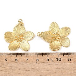 Латунные подвески&nbsp;KK-L255-04G