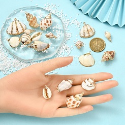 18 шт. 9 стиля подвески из натуральных ракушек с гальваническим покрытием&nbsp;BSHE-YW0001-08
