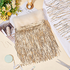 Лента из полиэстера с бахромой и бахромой из ПВХ с пайетками и блестками&nbsp;DIY-WH0308-297B