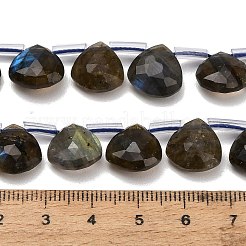 Natur Labradorit Perlen Stränge&nbsp;G-C292-A09-01