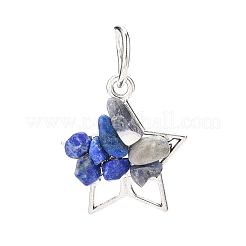 6шт 6 стиля подвески из натуральных и синтетических смешанных камней&nbsp;PALLOY-JF01946-02