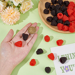 32шт 2 цвета ПВХ пластик имитация малиновый&nbsp;AJEW-ME0001-67