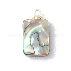 Подвески из натурального ушка / ракушки&nbsp;PALLOY-JF04876