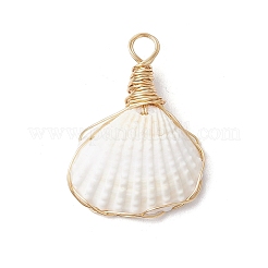 Подвески из натуральной ракушки PALLOY-JF03494