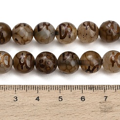 Estilo tibetano dZi abalorios hebras&nbsp;GG-CBA4812-B07-10MM