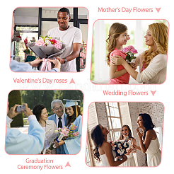 2 пакет 2 стиля подарочные пакеты из крафт-бумаги&nbsp;AJEW-FH0003-94