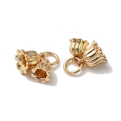 Acumular charms de latón chapado&nbsp;LS-KK-C020-02LG