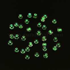 Светящиеся в темноте прозрачные стеклянные бусины 8/0 шт.&nbsp;SEED-YWC0001-01F