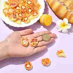 50 шт. 5 стиля кабошонов из смолы с изображением животных&nbsp;CRES-CJ0001-79