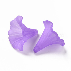 Прозрачные акриловые бусины&nbsp;X-BSF796-C26