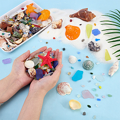 Aquarium-Landschaftsgestaltung mit Kunststoffschalen und Glas&nbsp;DIY-PH0035-11
