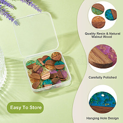 20шт 5 цвета подвески из смолы и ореха&nbsp;RESI-TA0004-43