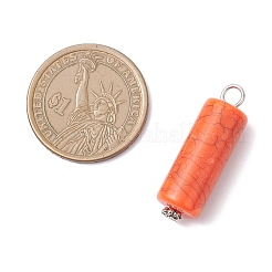 Подвески из непрозрачного акрила PALLOY-JF04474