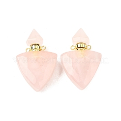Pendentifs de bouteille de parfum en pierre mélangée naturelle&nbsp;G-L623-10G