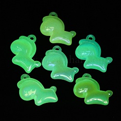 Светящиеся акриловые подвески с УФ-покрытием&nbsp;X-PACR-E003-05