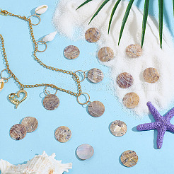 120 шт. подвески из натуральной ракушки акойя SHEL-ME0001-01