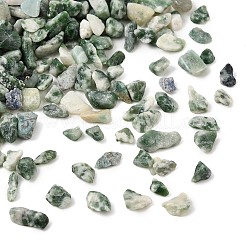 Perles de jaspe tacheté vert naturel&nbsp;GG-CBABB01-02