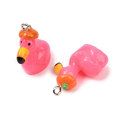 Прозрачные смоляные подвески&nbsp;RESI-H043-04P