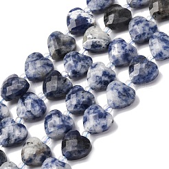 Натуральное синее пятно нитки из бисера яшмы G-P570-E19-01