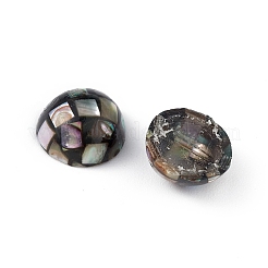 Бусины из синтетической раковины морского ушка / пауа&nbsp;LS-SSHEL-K001-001C