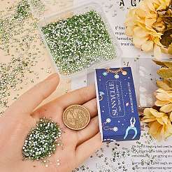 4 пакетик стеклянных плоских страз&nbsp;RGLA-SC0001-06A