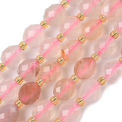 Натуральные вишневые агатовые бусины&nbsp;G-F809-A12-01