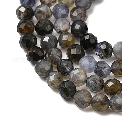 Природные иолит нитей бисера&nbsp;G-G343-B01-4mm