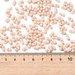 Прорезиненный стеклянный бисер SEED-Z003-01G