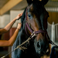 4 шт. пряжки из сплава&nbsp;FIND-CA0010-05