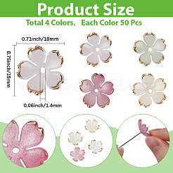 200шт 4 цвета акриловые колпачки для бусин&nbsp;OACR-PA0001-14